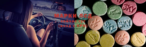 шишки Осташков