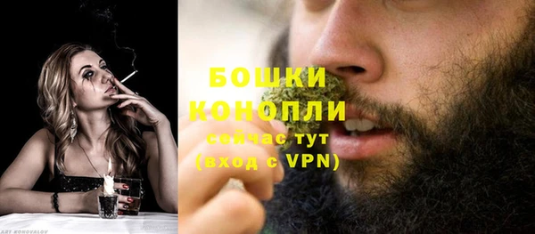 крисы Осинники