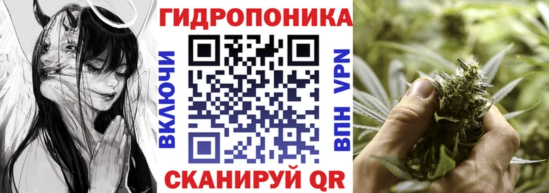 Бошки Шишки план Похвистнево